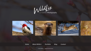 Web Design par PGNL pour Lighting Maintenance Inc | Design #26505766