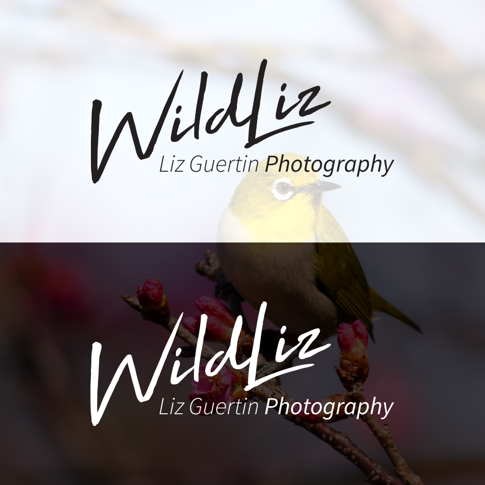 Web Design by PGNL for Lighting Maintenance Inc | Design #26505770