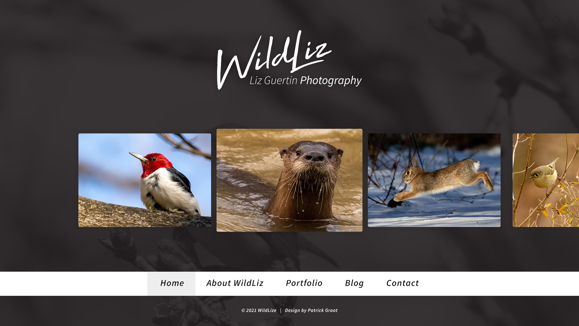 Web Design by PGNL for Lighting Maintenance Inc | Design #26508593