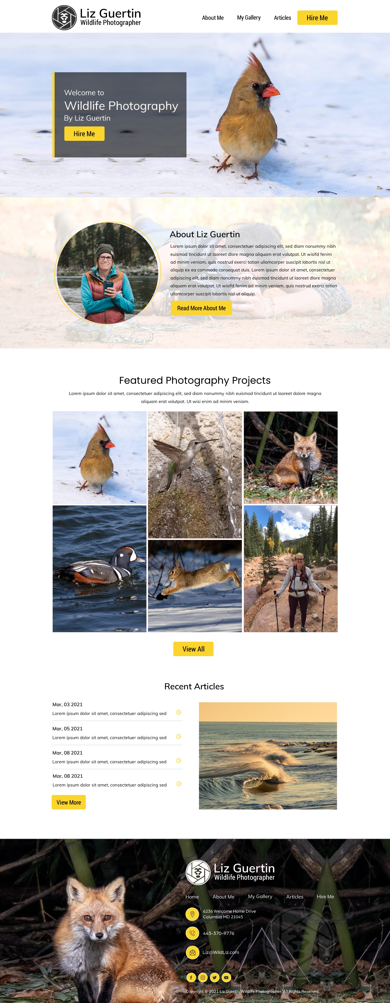 Web Design par HarmiDesigning pour Lighting Maintenance Inc | Design #26526348