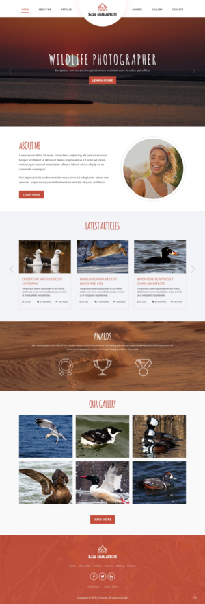 Web Design by pb for Lighting Maintenance Inc | Design: #26507784