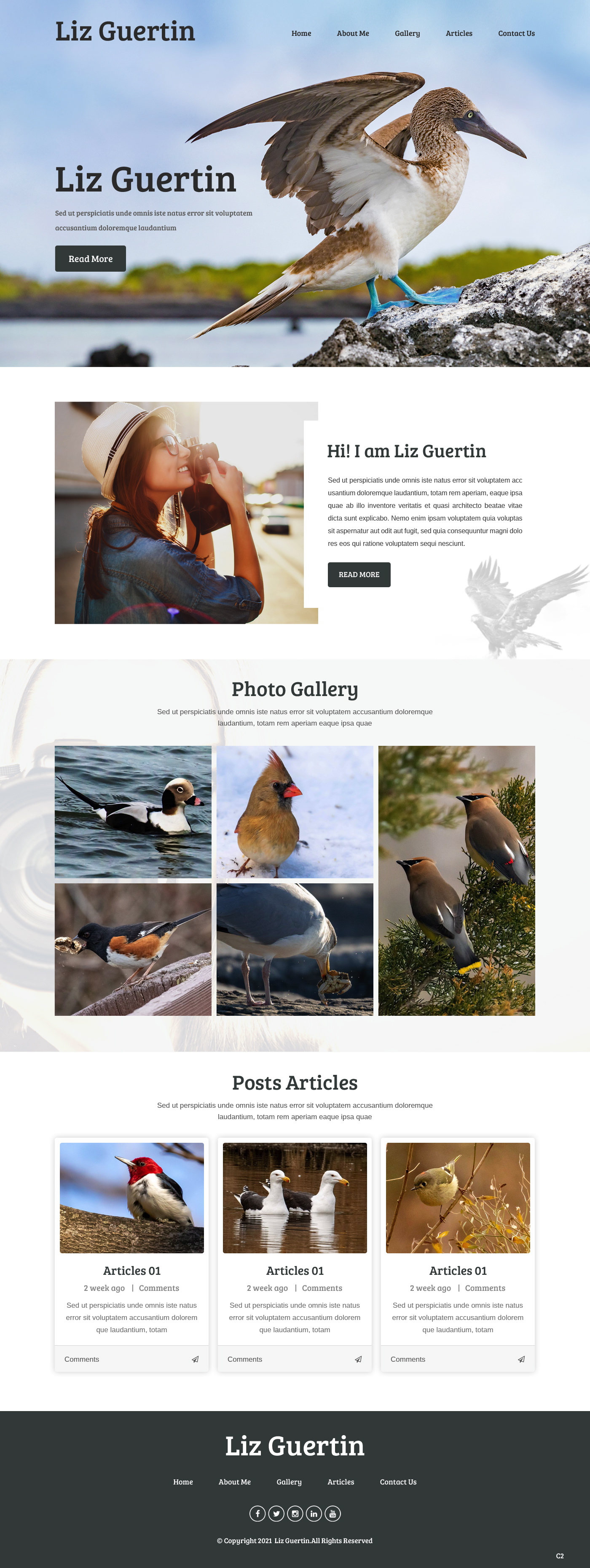 Web Design by pb for Lighting Maintenance Inc | Design #26507785