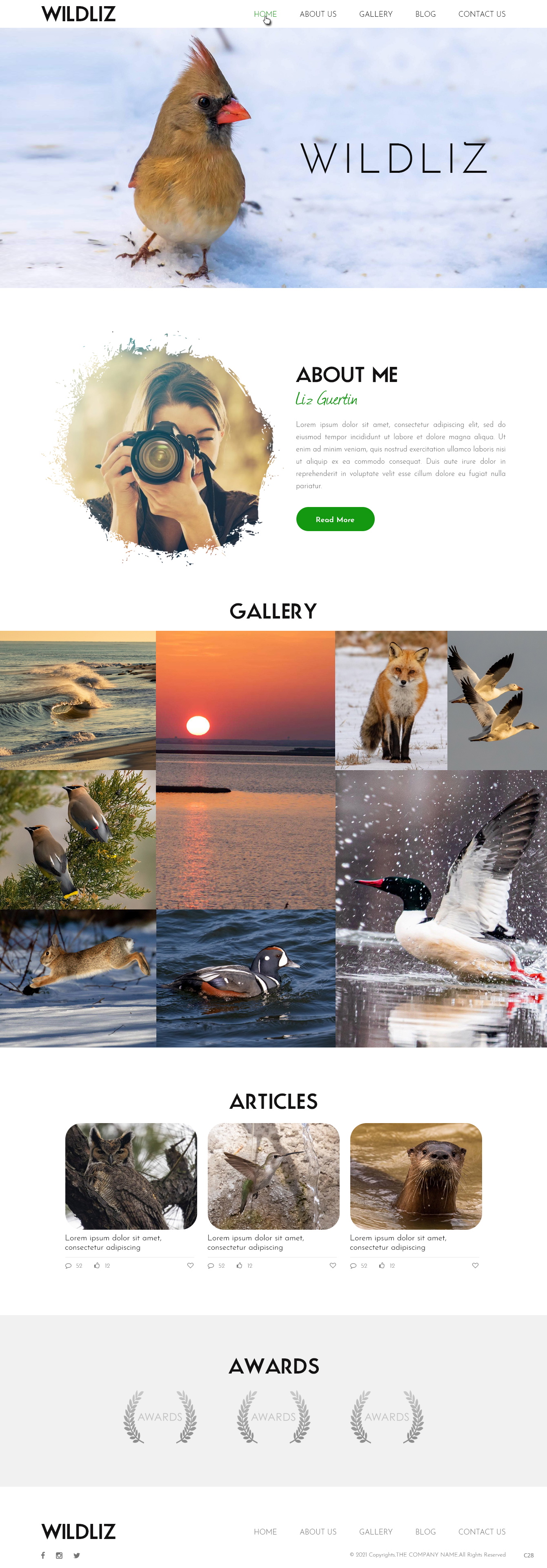 Web Design par pb pour Lighting Maintenance Inc | Design #26507791