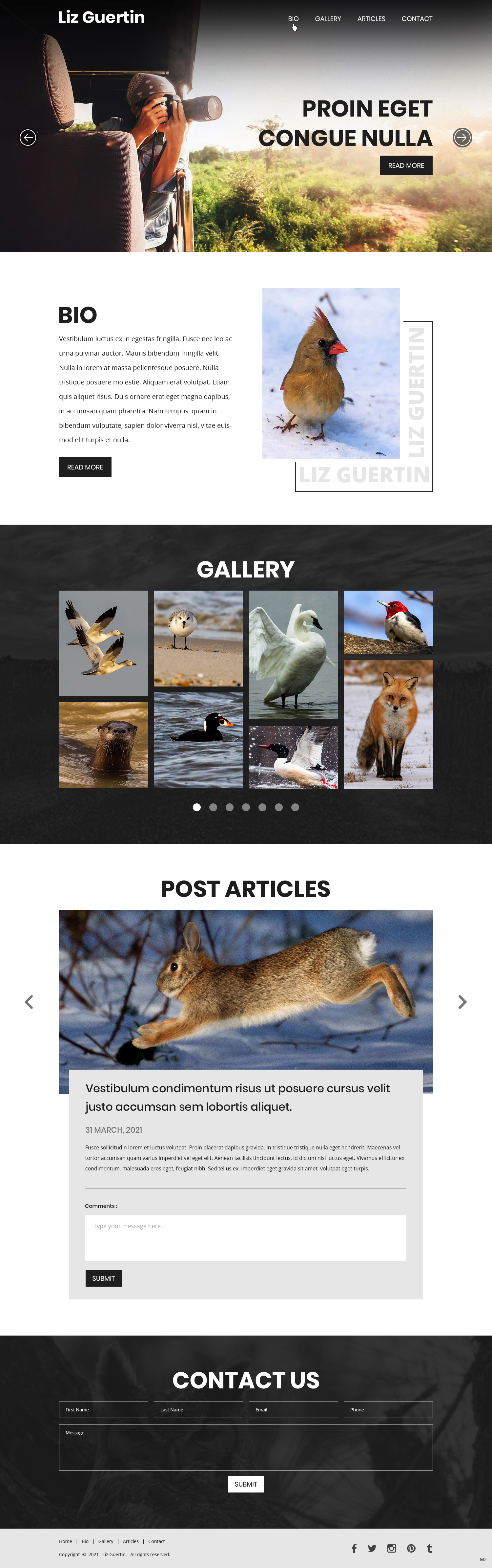 Web Design par pb pour Lighting Maintenance Inc | Design #26507800