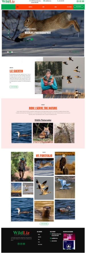 Web Design by JohnDigiTech for Lighting Maintenance Inc | Design: #26540189