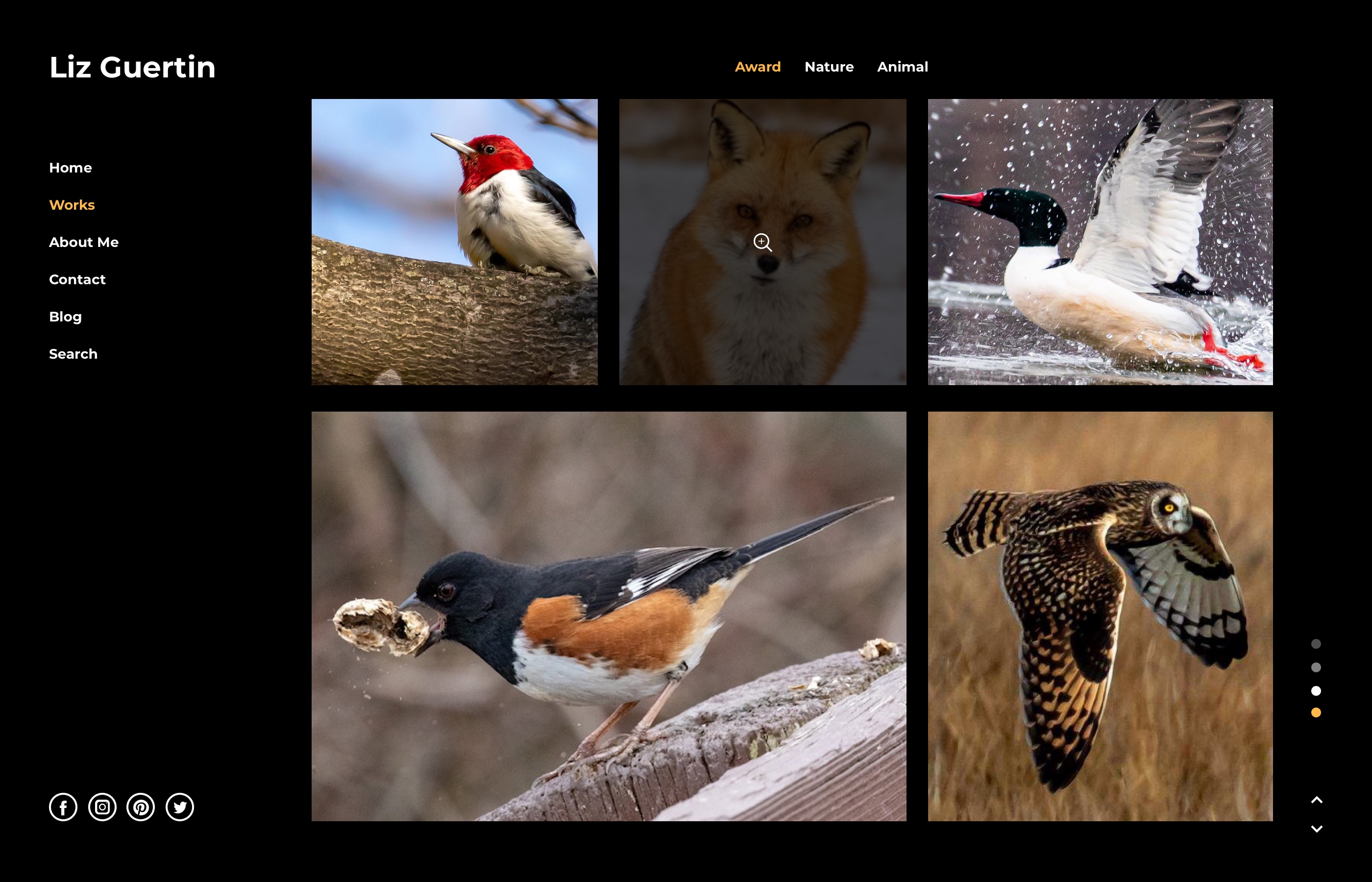 Web Design by Dewitrik for Lighting Maintenance Inc | Design #26515180