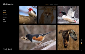 Web Design by Dewitrik for Lighting Maintenance Inc | Design: #26515180