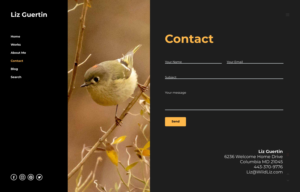 Web Design by Dewitrik for Lighting Maintenance Inc | Design: #26515182