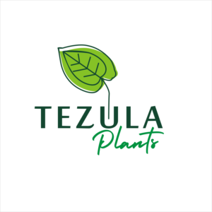 Design de Logo par sajupadman pour ce projet | Design : #26523287
