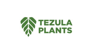 Tezula Plants | Logo Design by MT