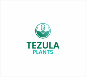 Logo-Design von Naavyd für dieses Projekt | Design: #26522809