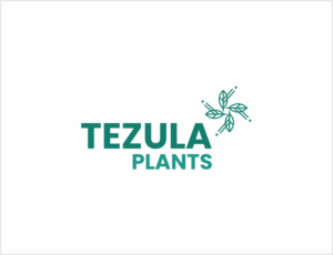Logo-Design von Naavyd für dieses Projekt | Design: #26522810