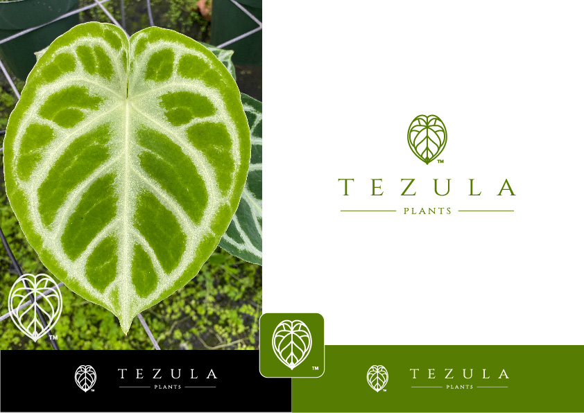 Logo Design by ~idiaz~ for this project | Design #26533084