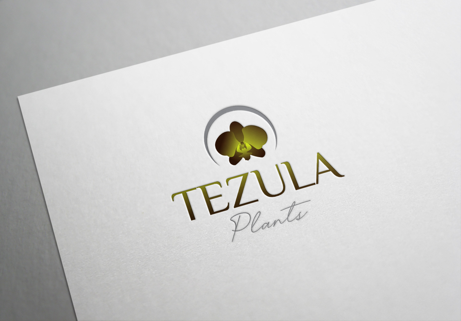 Logo Design by Deziners Zone for this project | Design #26505495