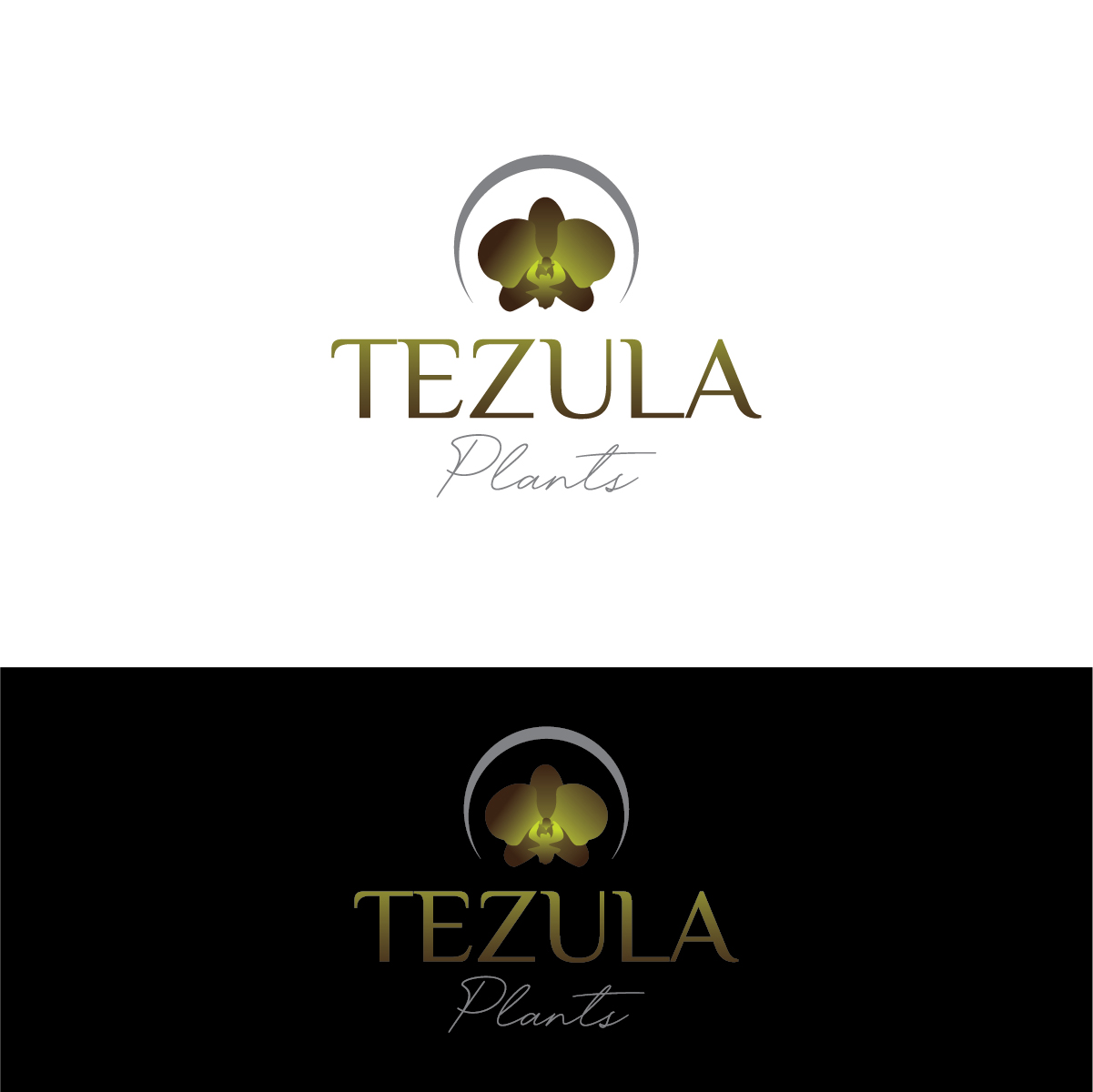 Logo Design by Deziners Zone for this project | Design #26505498