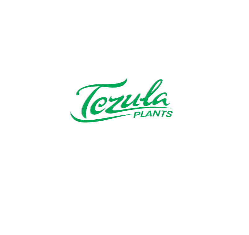 Logo Design by instudio for this project | Design #26512007