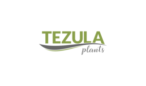 Logo-Design von zheniii für dieses Projekt | Design: #26505368