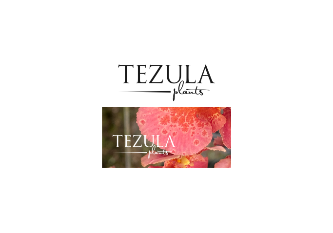 Logo-Design von zheniii für dieses Projekt | Design #26505447