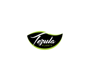 Design de Logo par saulogchito pour ce projet | Design : #26516665