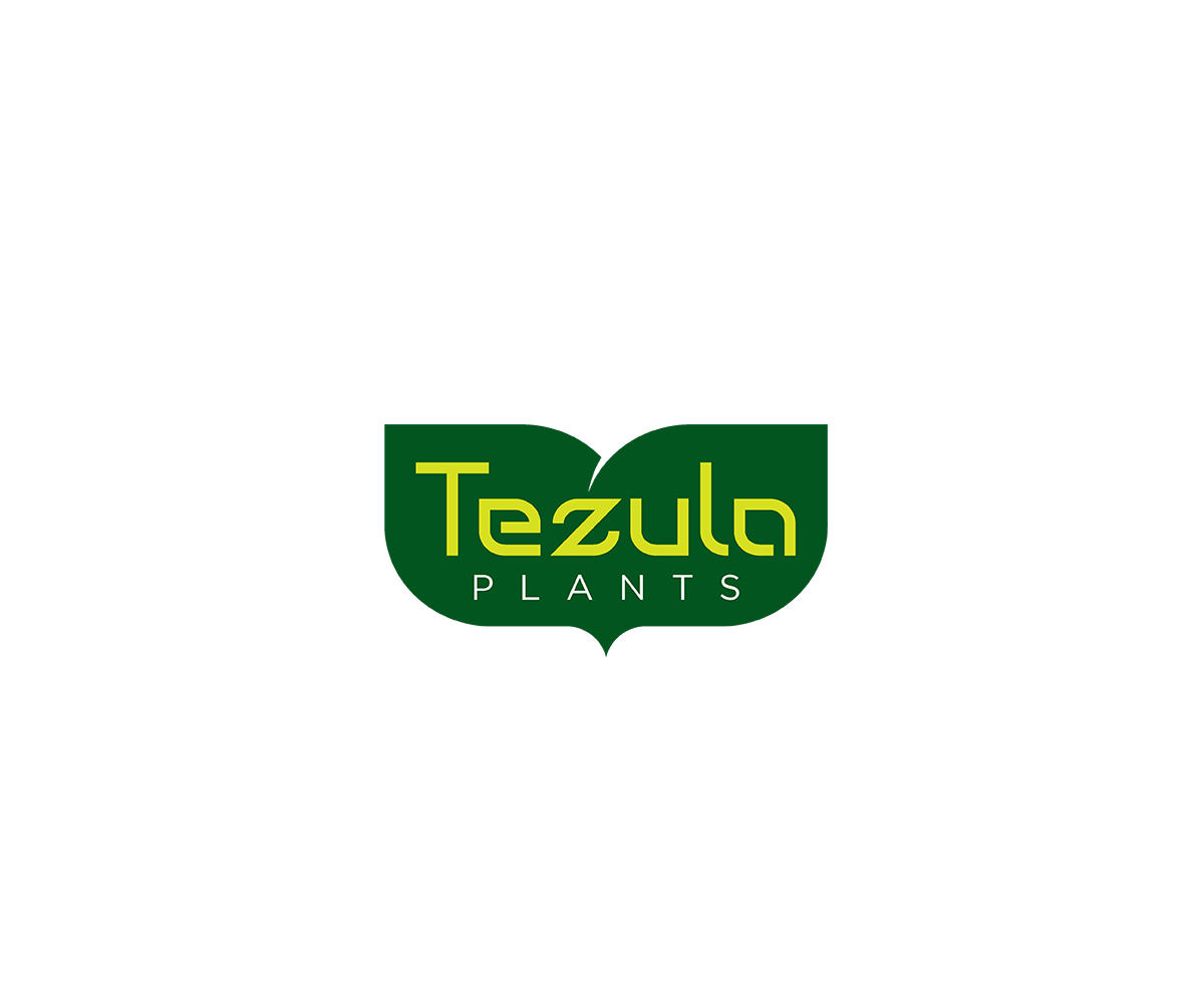 Logo-Design von saulogchito für dieses Projekt | Design #26518509