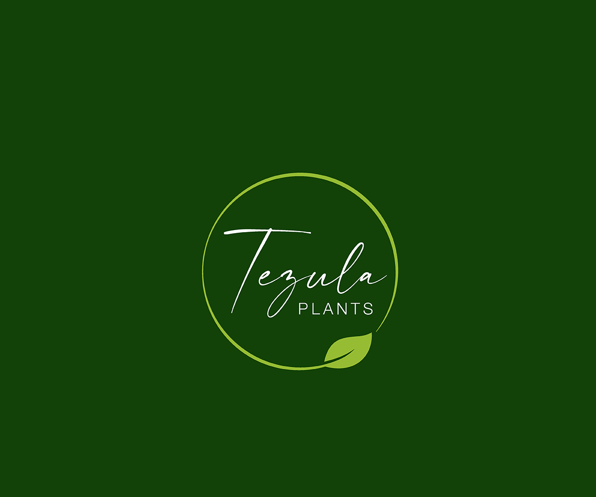 Diseño de Logo por saulogchito para este proyecto | Diseño #26518707