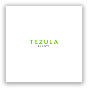 Logo Design by syrwebdevelopment for this project | Design: #26517496