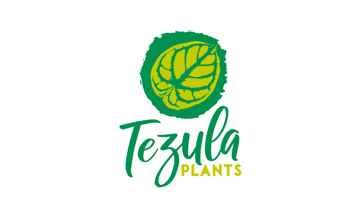 Logo Design by patriciaparadesign for this project | Design #26542025