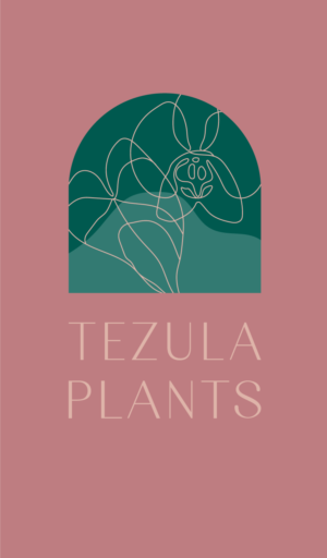 Logo Design by Kimh for this project | Design: #26510438