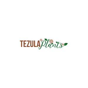 Logo Design by RullyRuby