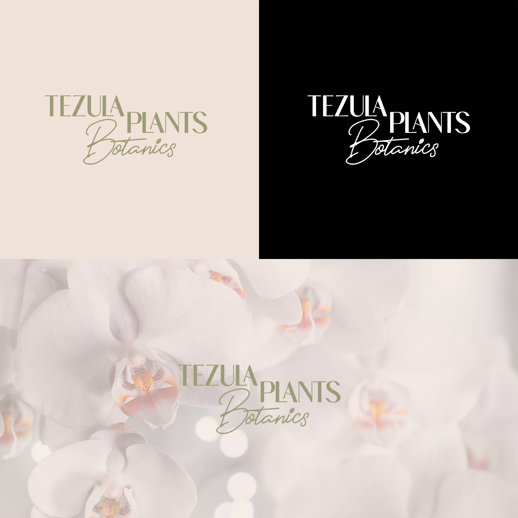 Design de Logo par Prestige Studio pour ce projet | Design #26508345