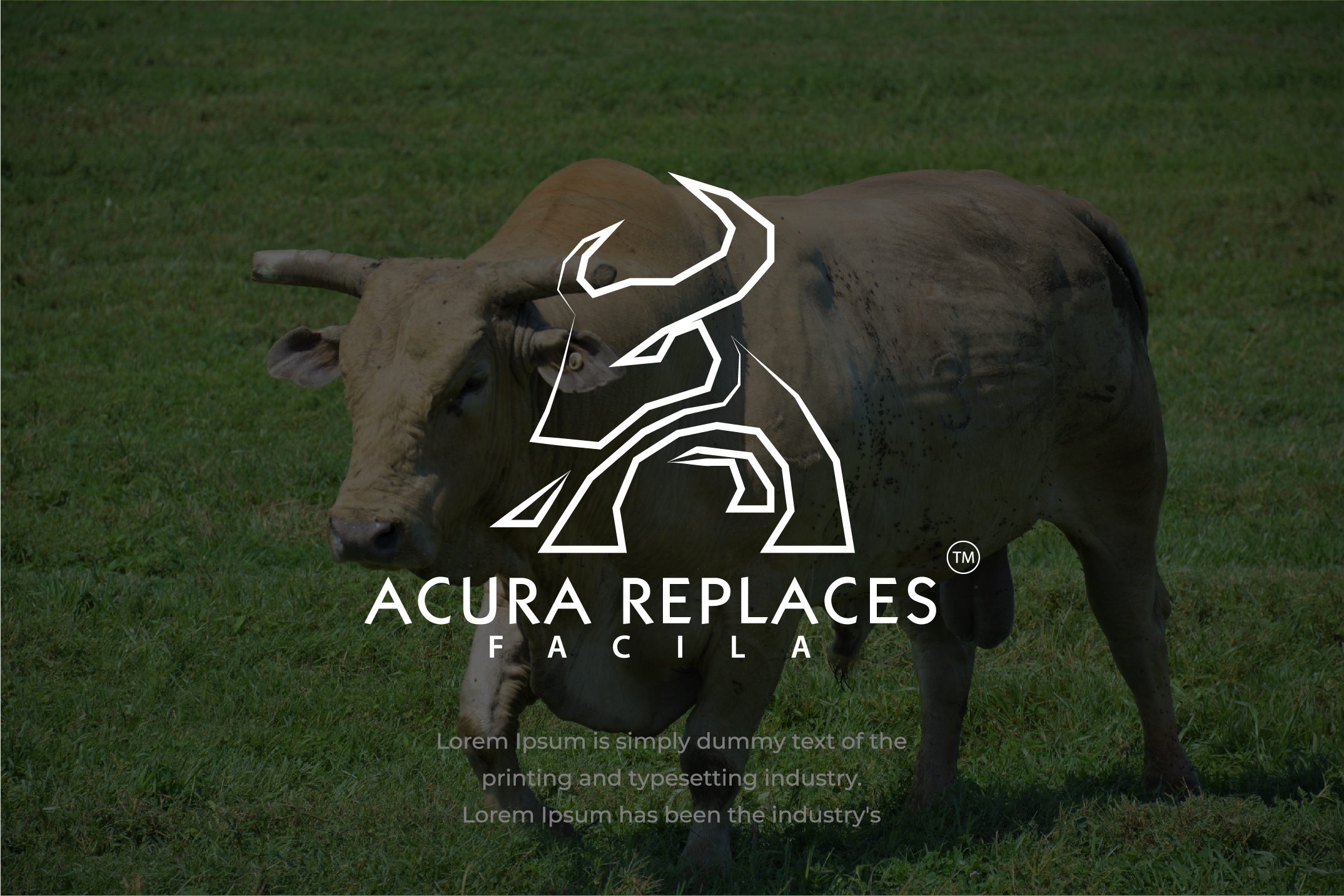 Logo Design by wegentdesgin for this project | Design #26519091