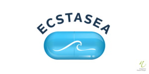 Logo Design by Nuepine Designs