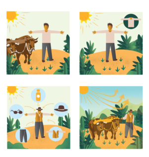 Illustration Design by dskyvbc for University of utah | Design: #26558541