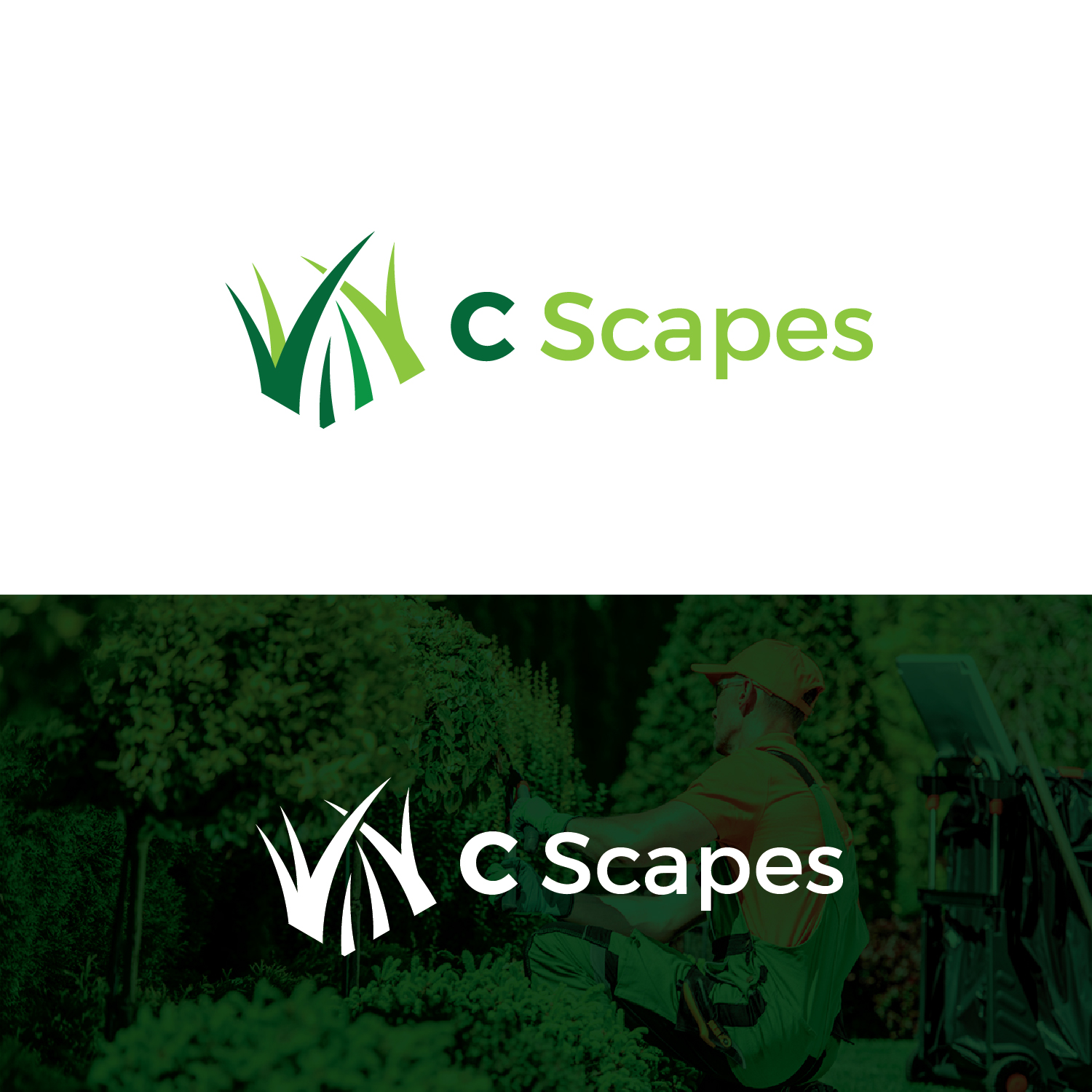 Logo Design by Deziners Zone for C Scapes | Design #26524479