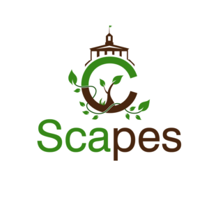 Logo-Design von fly  design für C Scapes | Design: #26531720