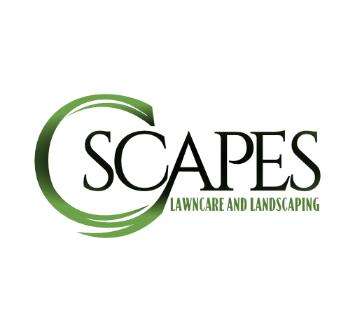 Logo Design by MulamboDesign for C Scapes | Design #26621060