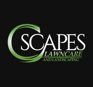 Logo Design by MulamboDesign for C Scapes | Design: #26621120