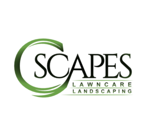 Logo Design by MulamboDesign for C Scapes | Design: #26621153