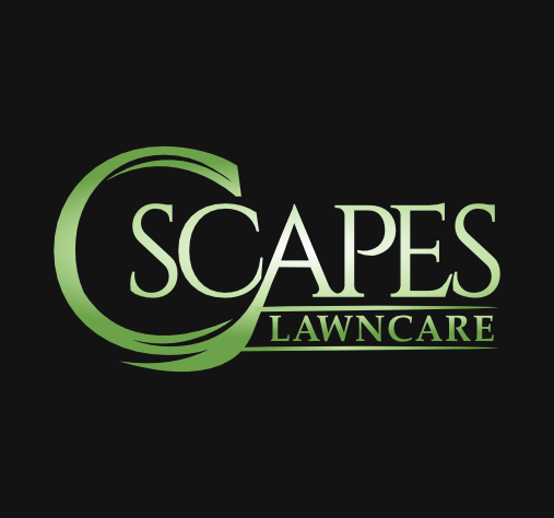 Logo Design by MulamboDesign for C Scapes | Design #26621258