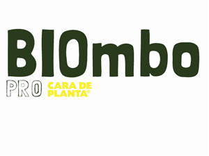 Logo Design by AnzoBean