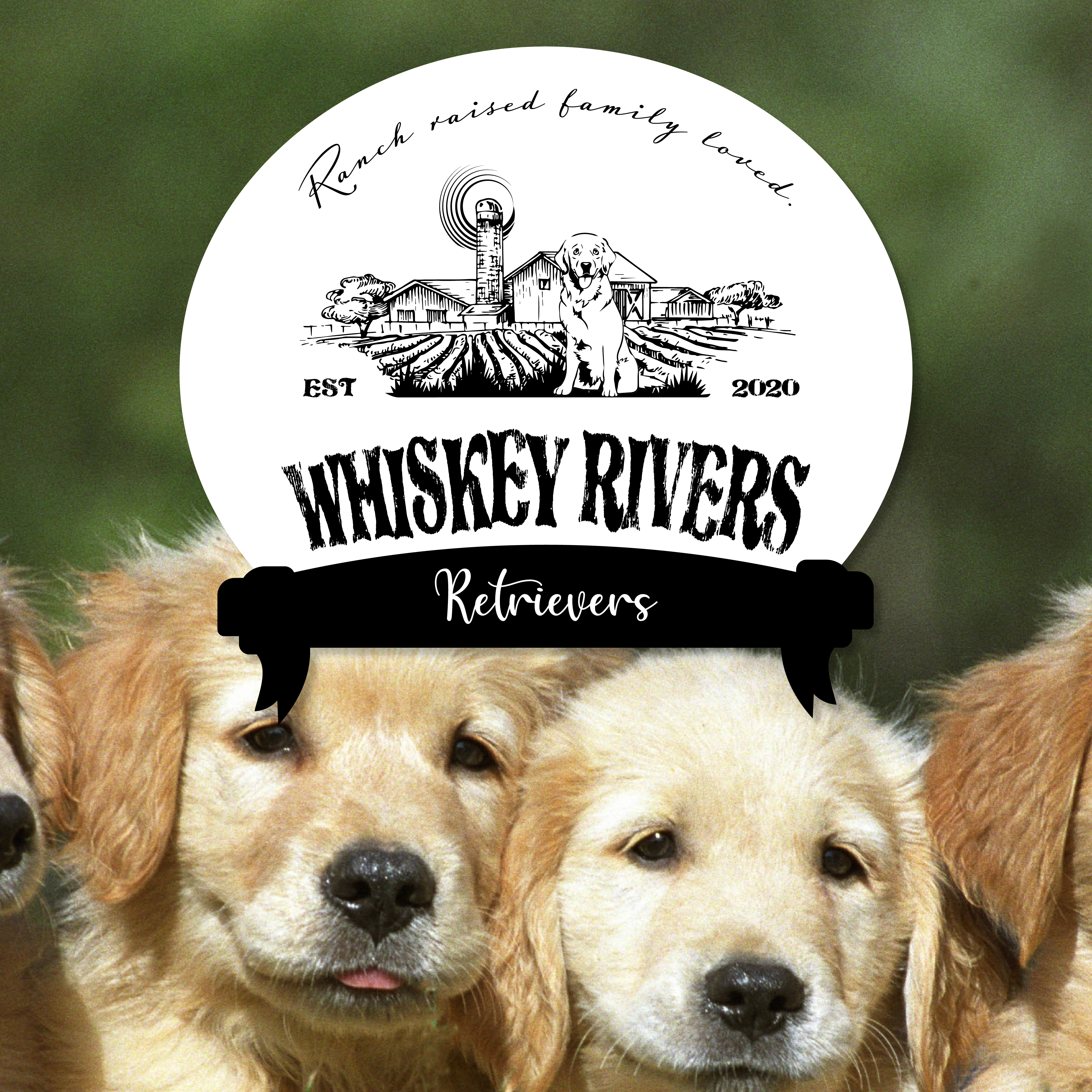 Diseño de Logo por ebproduction para Whiskey River Retrievers  | Diseño #26539416