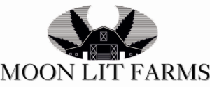 Logo Design by ILKNER