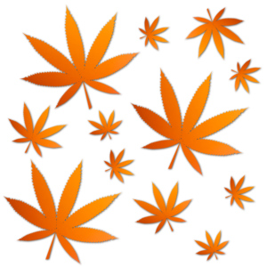 Logo Design by davidsantacruz7 for this project | Design: #26540597