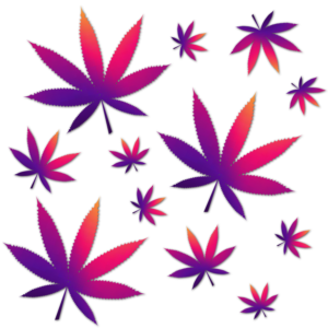 Logo Design by davidsantacruz7 for this project | Design: #26540600