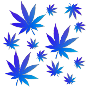 Logo Design by davidsantacruz7 for this project | Design: #26540701