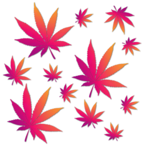 Logo Design by davidsantacruz7 for this project | Design: #26540702