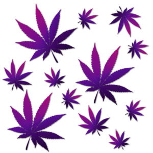 Logo Design by davidsantacruz7 for this project | Design: #26540703