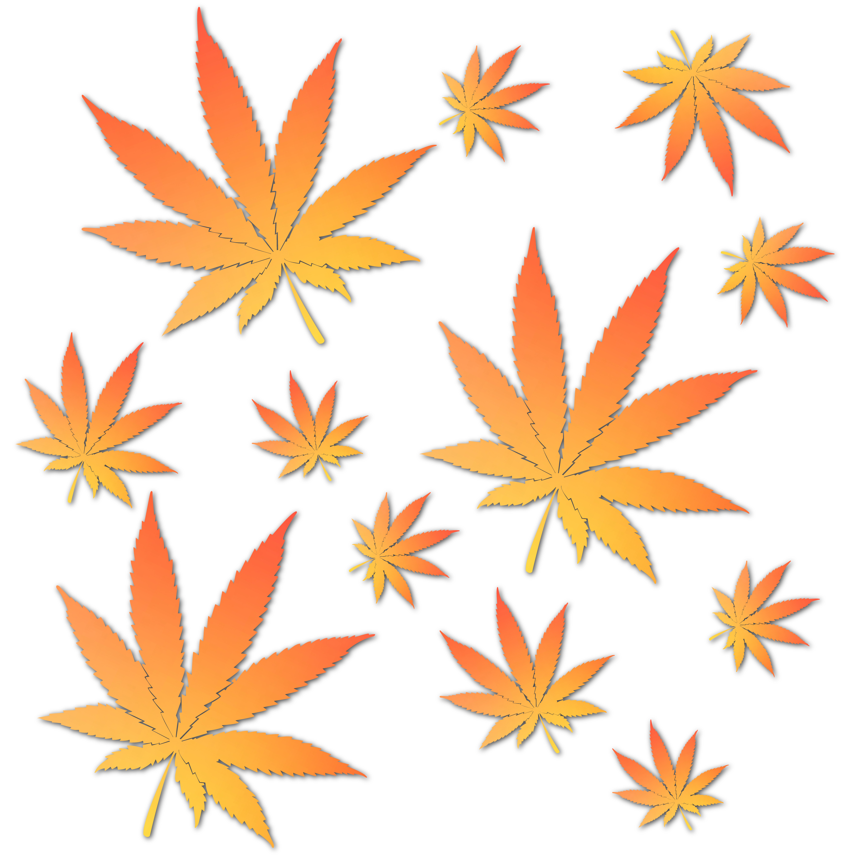 Logo-Design von davidsantacruz7 für dieses Projekt | Design #26540704