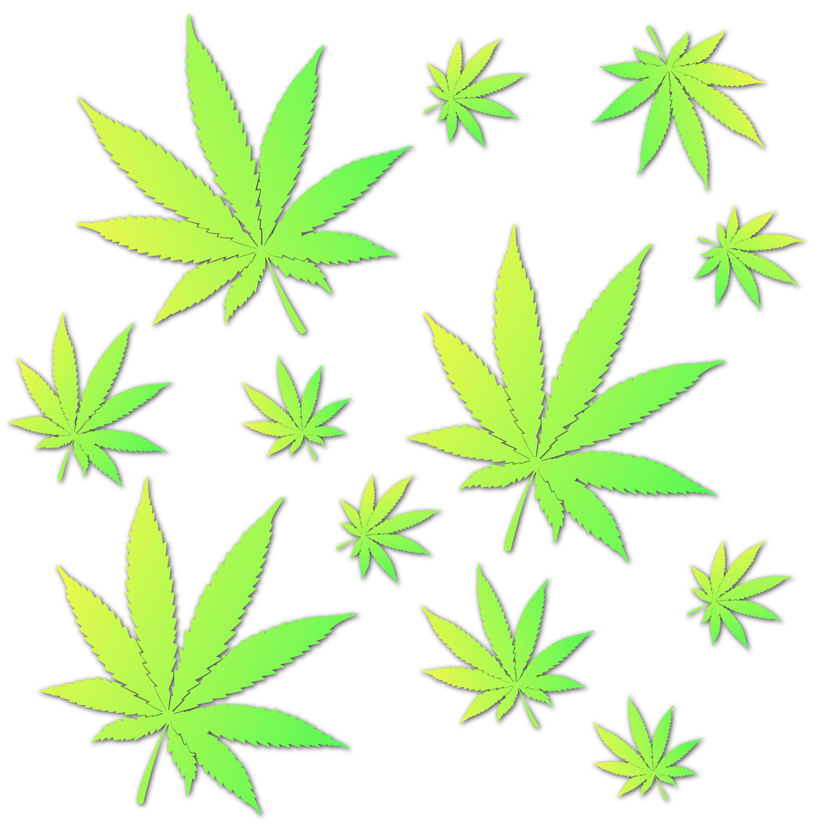 Logo-Design von davidsantacruz7 für dieses Projekt | Design #26540705