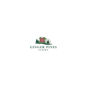 Logo-Design von MEDIA GLASS für dieses Projekt | Design: #26549800